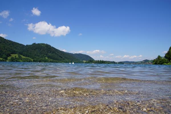 Nur 10 Minuten mit dem Auto entfernt: Der wunderschöne Schliersee!